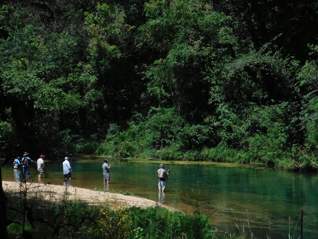 Trips: WARNING -- BIG FISH ON STRINGERS (Rockbridge)