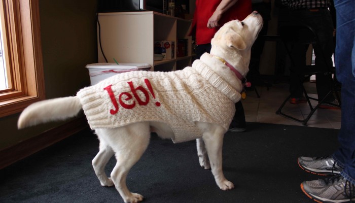 Field workers dress their dog in Gov. Jeb Bush attire for a rally on Jan. 31. Photo by Ingrid Roettgen/TMN.