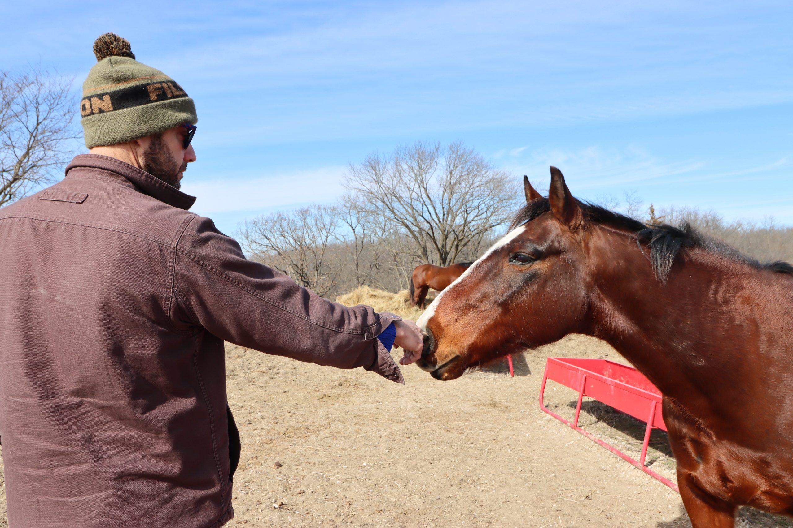 University Farms fights cold with safeguards