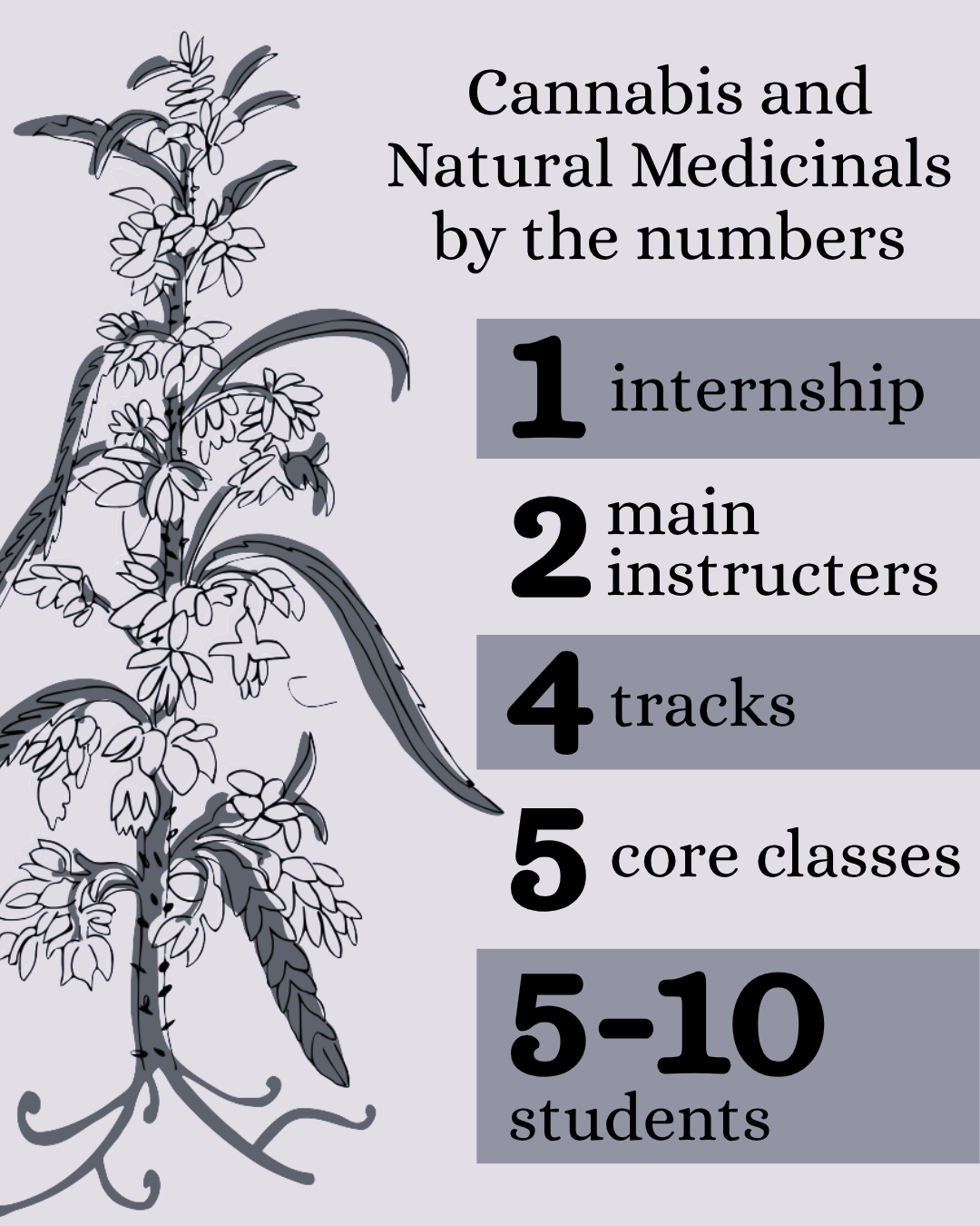 Checking in: A look at the Cannabis and Natural Medicinals major
